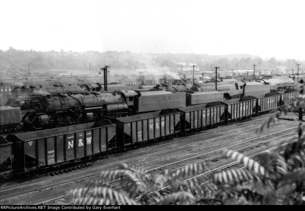 N&W 2-8-8-2 #2156 - Norfolk & Western